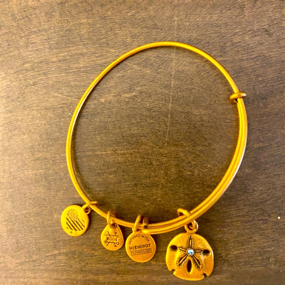 Alex and ani bracelet
